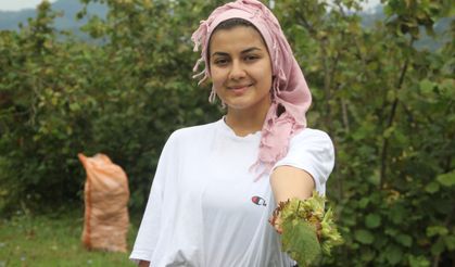 Yeşil altın fındıkta hasat başladı