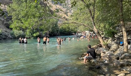 Yüksekova'da sıcakta bunalanlar Avaşin Deresi'nde serinliyor