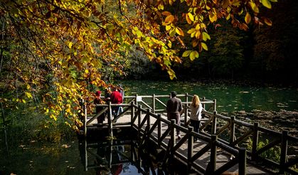 Orman denizi Yedigöller'de sonbahar renkleri!