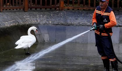 Kuğulu Park'ta sonbahar temizliği!