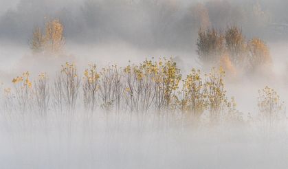Hevsel'de kartpostallık görüntü