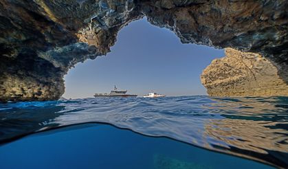 Doğu Akdeniz'in derinliklerinde canlıların renkli dünyası!