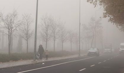 Diyarbakır'da sis hakim