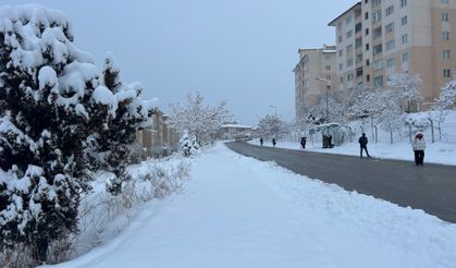 Van’da uçak seferleri rötar yaptı