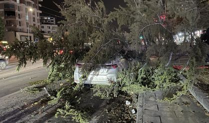 Park ettiği yerde perte çıktı