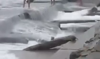 Lodos Caddebostan Sahili'i vurdu