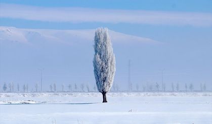 Erzurum'da kar yerini soğuk havaya bıraktı!