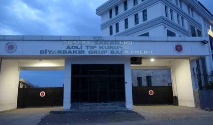 Diyarbakır’da akraba aileler arasında kavga!