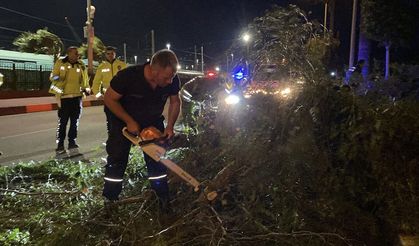 Hatay'da fırtına yıktı geçti!