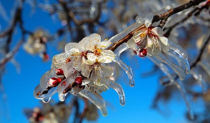 Ankara Valiliği’nden zirai don uyarısı