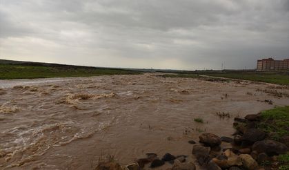 Şanlıurfa'da debi yükseldi çoban mahsur kaldı