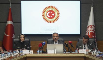 Okul Saldırılarının Nedenlerini Araştırma Komisyonu, akademisyenleri dinledi