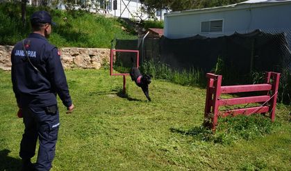 Jandarmanın iz takip köpeği "Becet" emekliye ayrıldı