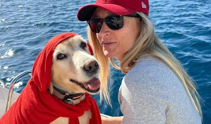 Köpek davasında sanık beraat etti!