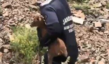 Kayıp ararken yavru keçiyi kurtardılar