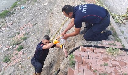 Çorum'da çaya düşen kediyi itfaiye kurtardı