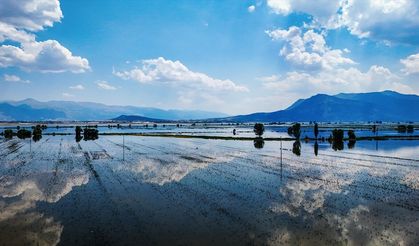 Antalya'nın gizli cenneti yeniden canlandı