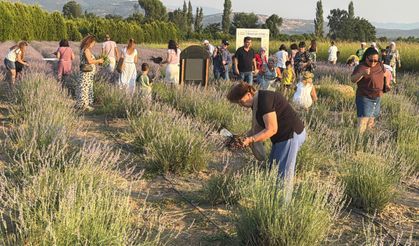 Balıkesir'de aromaterapi şöleni başladı