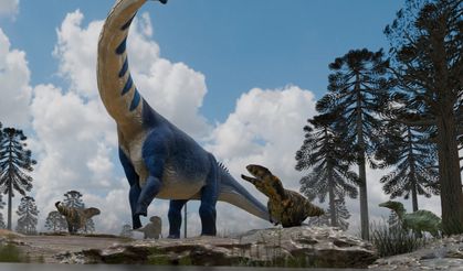 150 milyon yıllık dev keşif