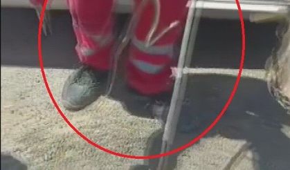 Yılanlar arabalara dadandı!
