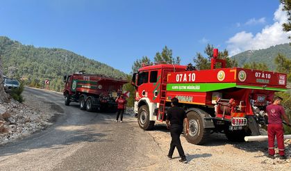 Antalya'nın iki ilçesinde yangın başladı!