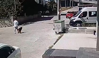 Köpeğini gezdirirken başka bir köpeğin saldırısına uğradı