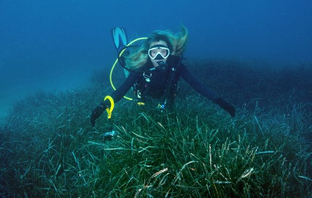 Akdeniz’in "akciğerleri" koruma altına alınıyor