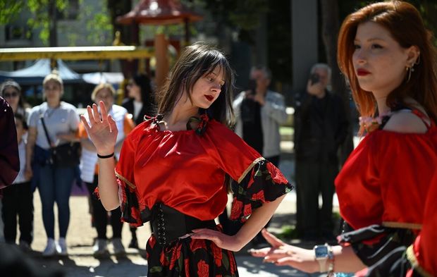 Edirne'de Dünya Romanlar Günü kutlandı!