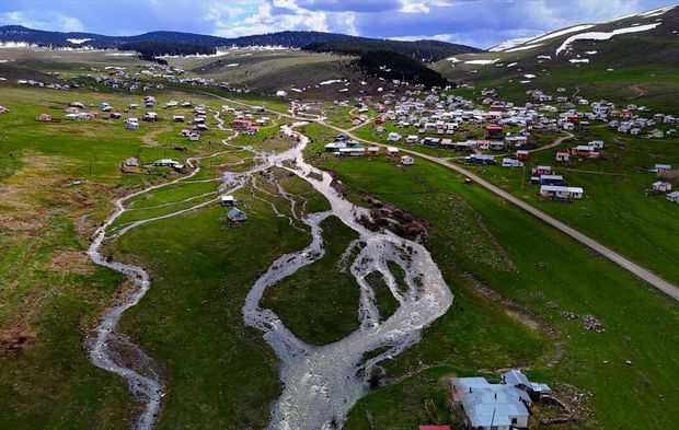Ardahan'ın yaylaları baharla canlanmaya başladı!