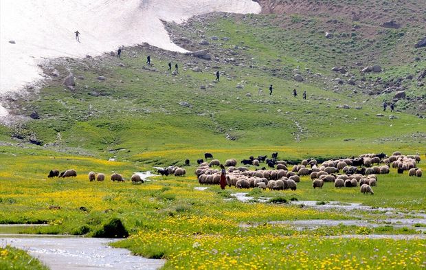 Berçelan Yaylası eşsiz güzellikleriyle doğaseverlerin rotasında
