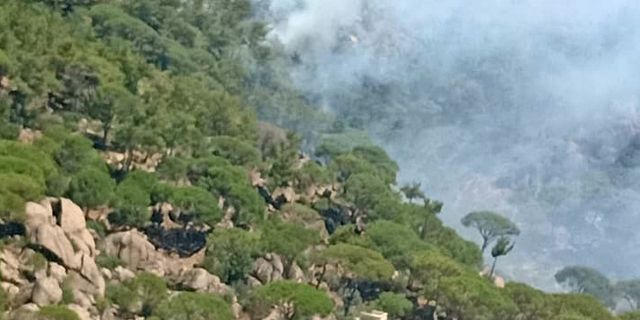 Milas'ta orman yangını başladı
