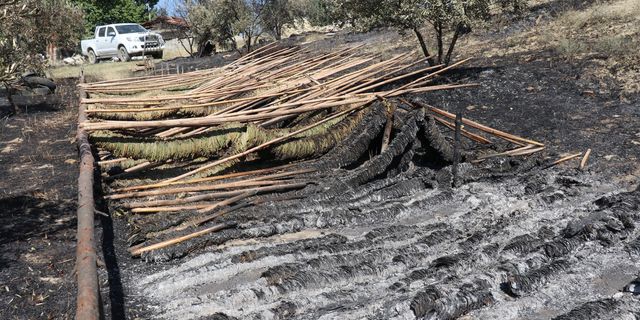 Manisa'daki orman yangını kontrol altına alındı