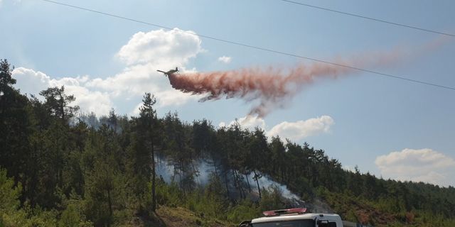 Bursa'da orman yangını için müthiş seferberlik