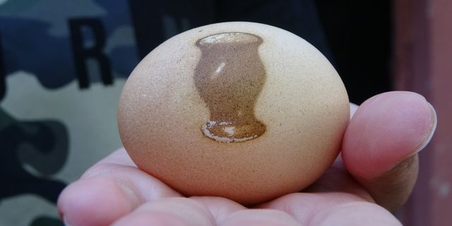 Tavuk, vazo desenli yumurtladı!