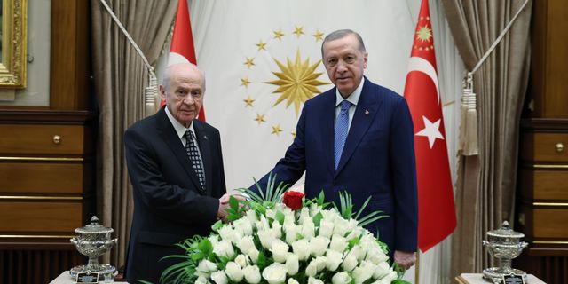 Erdoğan ve Bahçeli görüşecek