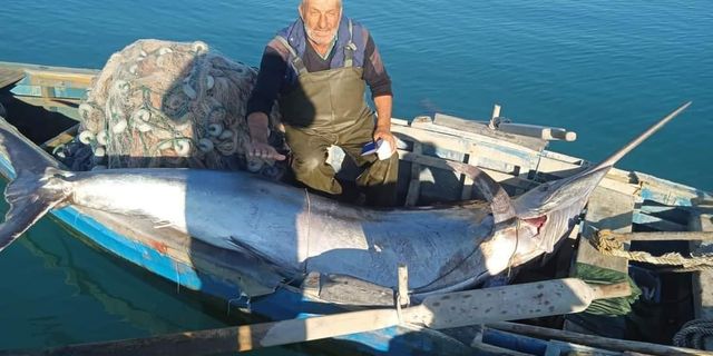 Balıkçı ağlarına 'Blue Marlin' balığı takıldı