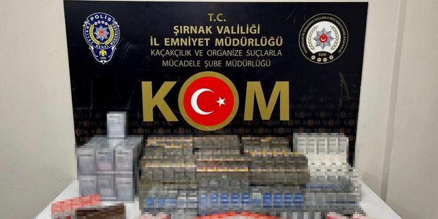 Şırnak’ta operasyon: 52 gözaltı