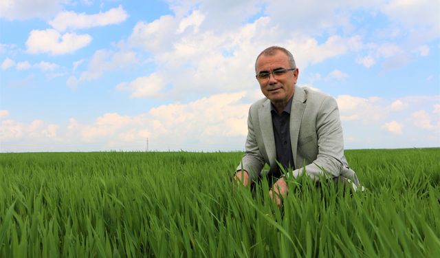 Güneydoğu'da çiftçinin yüzü son yağışlarla güldü!