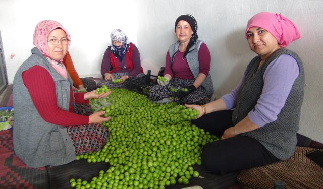 Can eriği 500 liradan alıcı buluyor!