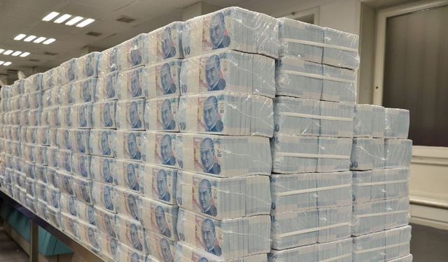 Merkez Bankası rezervleri 121,5 milyar dolar oldu