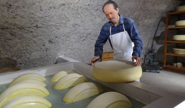 Türkiye'nin ilk ve tek peynir müzesine yoğun ilgi