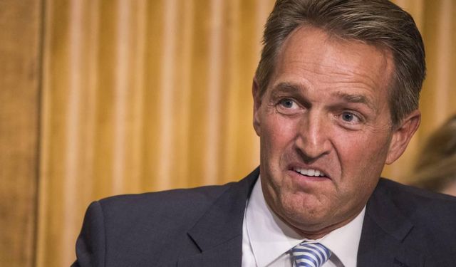 Flake: Türkiye'nin katkısını takdir ediyoruz!