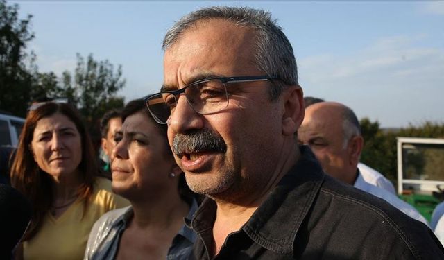 Sırrı Süreyya Önder'den zorunlu duyuru: Kontrolden çıktı