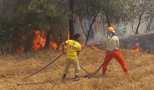 Bakan Yumaklı: Yangın kontrol altına alındı!