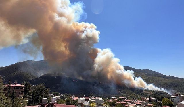 Hatay’daki orman yangını büyüyor!