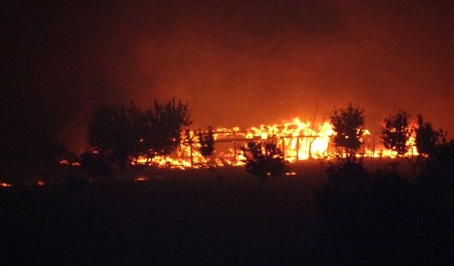 Yangın sebebiyle bir köy boşaltıldı!