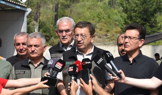 Bakan Yardımcısı Tiryaki'den Kemer'deki yangına ilişkin açıklama