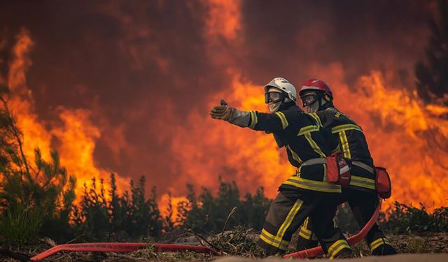 10 günde, 40 ilde 203 orman yangını meydana geldi