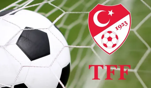 Beşiktaş ve Fenerbahçe'nin para cezalarını onadı