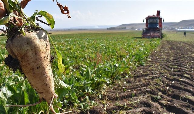 Tarım ve Orman Bakanlığı duyurdu: Bin işçi alınacak
